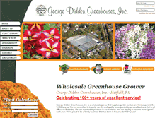 Tablet Screenshot of georgedidden.com